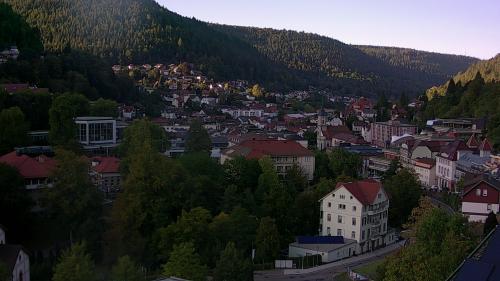 Webcam Bad Wildbad