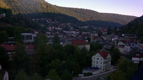 Webcam Bad Wildbad