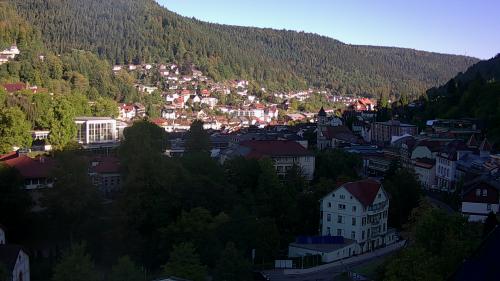 Webcam Bad Wildbad