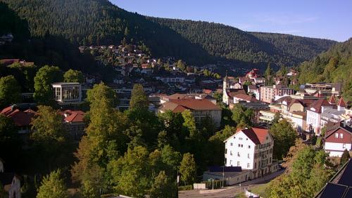 Webcam Bad Wildbad