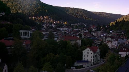 Webcam Bad Wildbad