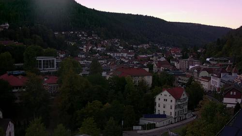 Webcam Bad Wildbad