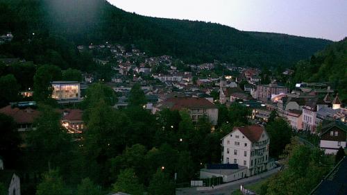 Webcam Bad Wildbad