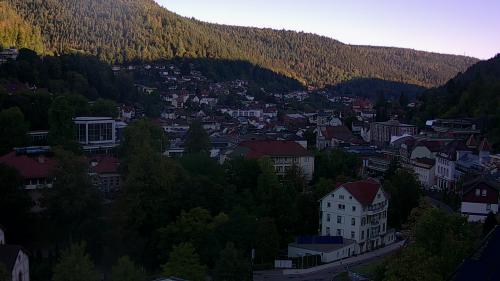 Webcam Bad Wildbad