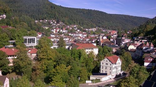 Webcam Bad Wildbad