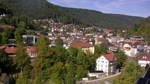Webcam Bad Wildbad