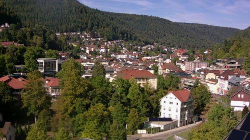 Webcam Bad Wildbad