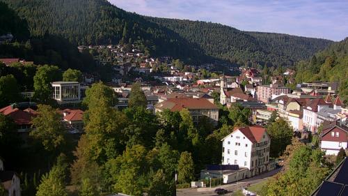 Webcam Bad Wildbad