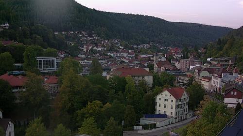 Webcam Bad Wildbad