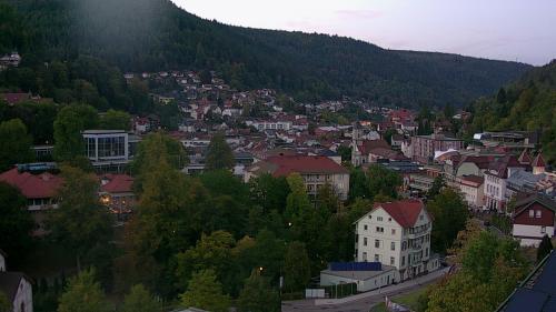 Webcam Bad Wildbad