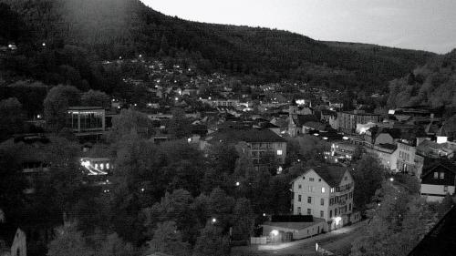 Webcam Bad Wildbad