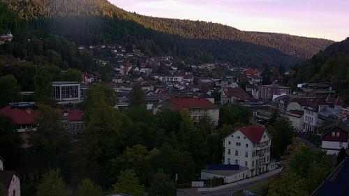 Webcam Bad Wildbad