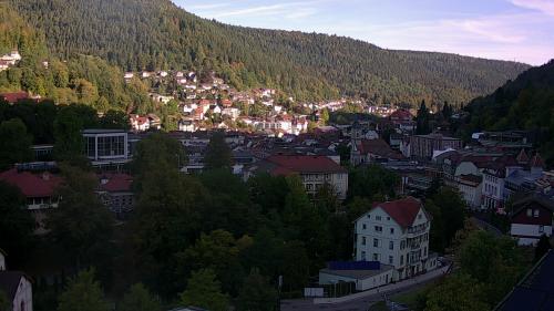 Webcam Bad Wildbad