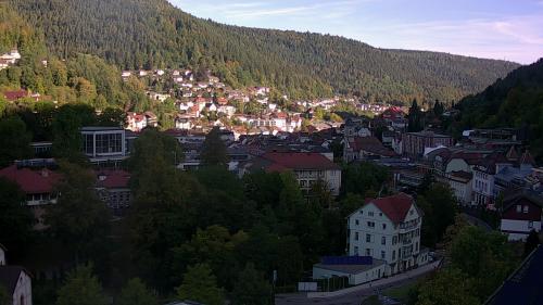 Webcam Bad Wildbad