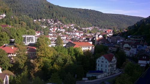 Webcam Bad Wildbad