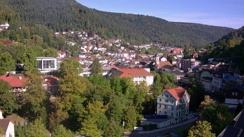 Webcam Bad Wildbad