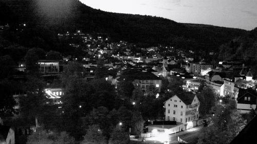 Webcam Bad Wildbad