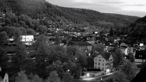 Webcam Bad Wildbad
