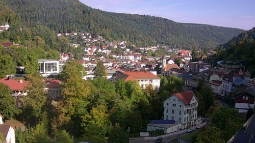 Webcam Bad Wildbad