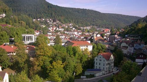 Webcam Bad Wildbad