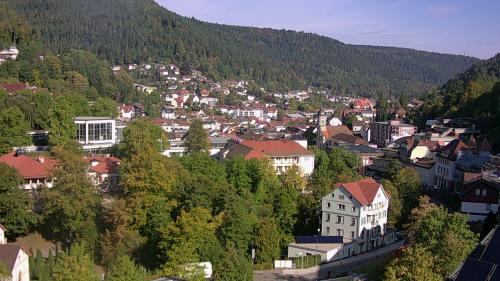 Webcam Bad Wildbad
