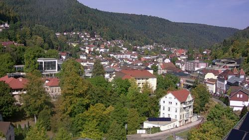 Webcam Bad Wildbad