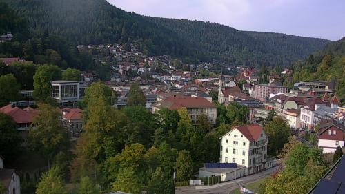 Webcam Bad Wildbad