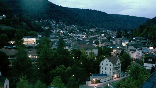 Webcam Bad Wildbad