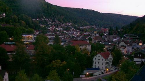 Webcam Bad Wildbad