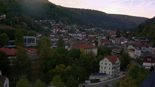 Webcam Bad Wildbad