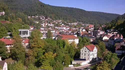 Webcam Bad Wildbad