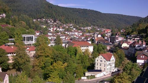 Webcam Bad Wildbad