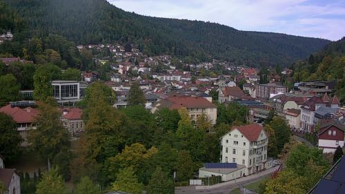 Webcam Bad Wildbad