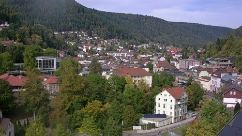 Webcam Bad Wildbad