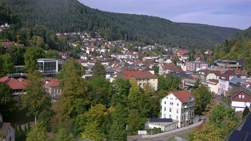 Webcam Bad Wildbad