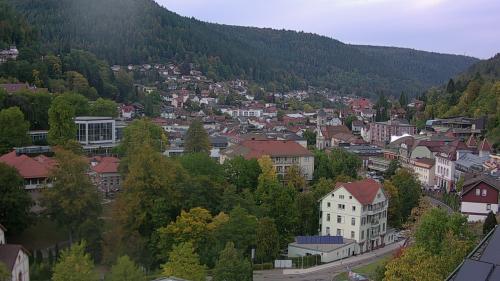 Webcam Bad Wildbad