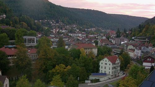 Webcam Bad Wildbad