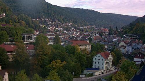Webcam Bad Wildbad