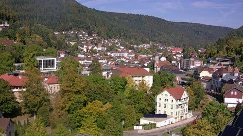 Webcam Bad Wildbad
