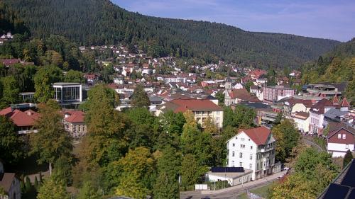 Webcam Bad Wildbad