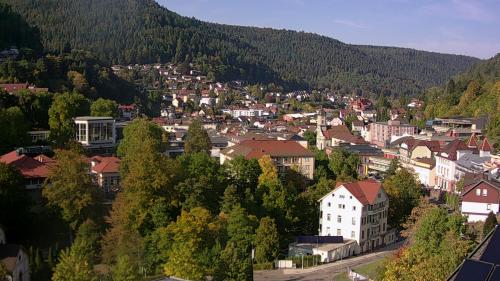 Webcam Bad Wildbad