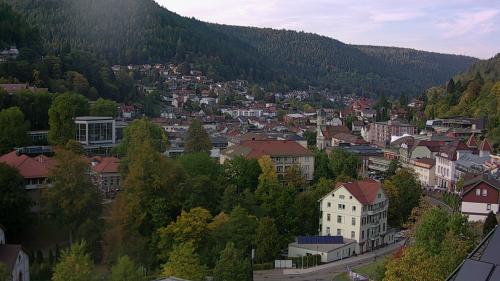 Webcam Bad Wildbad