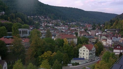 Webcam Bad Wildbad