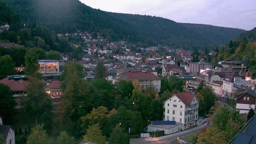 Webcam Bad Wildbad