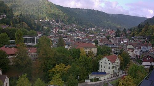 Webcam Bad Wildbad