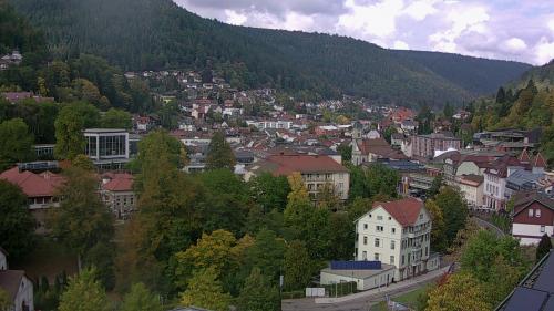 Webcam Bad Wildbad