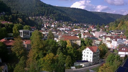 Webcam Bad Wildbad