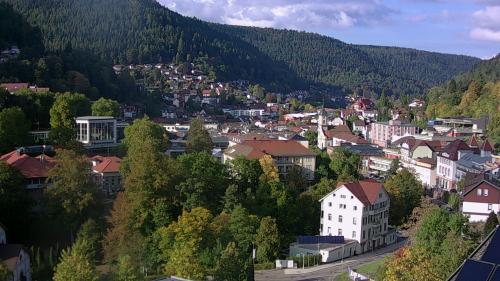 Webcam Bad Wildbad