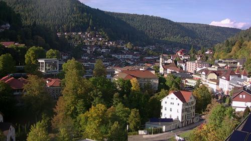 Webcam Bad Wildbad