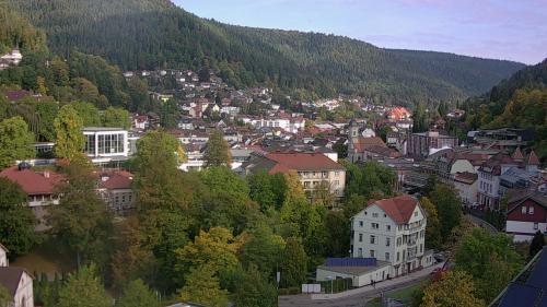 Webcam Bad Wildbad